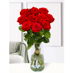 Dieprode rozen - Kies je aantal (Black Baccara) - 20 t/m 99 rozen