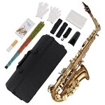 Eb Alto Saxophone Brass Lacquered Gold E Flat Sax 875 Key Type Woodwind Instrument with Cleaning Brush Cloth Gloves Strap Padded Case