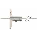 Helios Preisser Diepteschuifmaat | 500 mm | rechte meetrail 12 x 4 mm | 1 stuk - 0282507 - 0282507