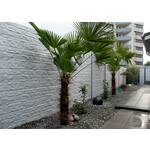 Betonschutting Brickstone enkelzijdig 200x231cm