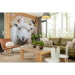 8-persoons kinderbungalow | Thema: Boerderij