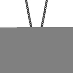 Frank 1967 Steel 7FN 0013 Ketting met munthanger staal 60 cm