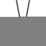 Frank 1967 7FN 0012 Ketting met munthanger staal zwart 60 cm