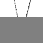 Frank 1967 7FN 0004 Ketting met hanger staal Vleugel 60 cm