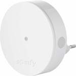 Draadloze bewegingsmelder Somfy Home Alarm 2401490