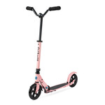 Micro - Speed Deluxe Neon Rose - Recreatie Step