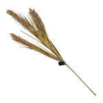 Hanoju Tarwegras pet flacon bio