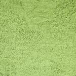 Tarwegras poeder (bio) 60 gram