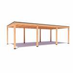 Overkapping Indy Basis douglas 800 x 400 cm vrijstaand