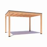 Overkapping Demi Basis douglas 300 x 300 cm vrijstaand