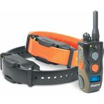 CANNY COLLAR NUMMER 2 00001
