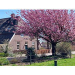 Marinapark Bad Nederrijn 2
