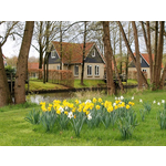12-persoonsaccommodatie, ook knus voor 2 tot 4 personen, mooi gelegen in Echten, Drenthe