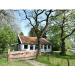 Prachtig gelegen 4 persoons chalet aan zwemvijver en in het bos bij Havelte.