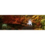 Ontspannen in New Forest