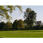 Zes persoons vakantiehuis met sauna en bubbelbad op de Veluwe.