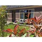 Luxe Groepsaccommodatie voor 26 personen in Monnickendam.