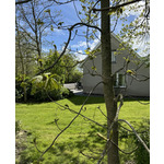 Vakantiehuis Ooltgensplaat