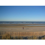 Vakantiepark Noordwijkse Duinen