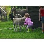 Vakantiepark Diana Heide
