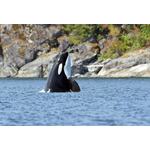 Highlights West-Canada