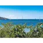 Camping Le Sagone