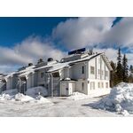 Nordic chalet 9410