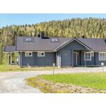 Samruam b aurora cabin
