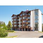 Sallanhelmi b1