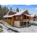Nordic chalet 9207