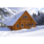Chalet Noorwegen 849x750 cm