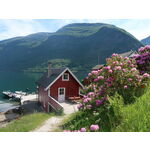 Haugen