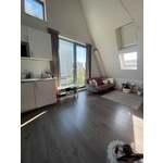 Studio Hortensiastraat in Winschoten