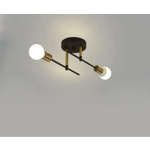 VintageGlow Dubbele Kop Plafondlamp