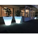 SerraLunga Pulcino LED Verlicht