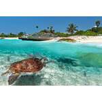 Islandhopping met een Caribisch tintje