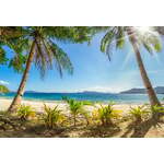 Best Deal Safari & Strand