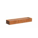 Cortenstaal vijverbak 200x80x60cm.
