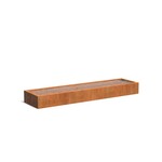 Cortenstaal vijverbak 250x120x40cm.