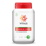 Vitamine B12 met folaat - 100 zuigtabletten