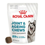 AA Arthritabs C voedingssupplement hond 90 tabletten