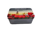 Blik Holland City 14x8,5x5,5cm