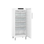 Beko RFNE448E35W Vriezer Wit