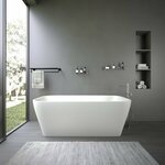 Best - Design Color - Transpa - Black- vrijstaand bad 170 x 78 x 56 cm