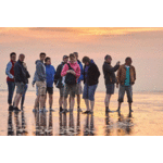 Wadlopen en zeehonden spotten