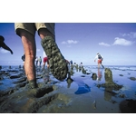 Wadlopen en Wellness