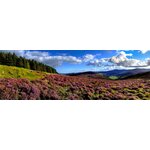 Cooley Peninsula & Mourne Mountains