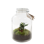 8x stuks glazen confituren pot/weckpot 720 ml met beugelsluiting en rubberen ring - Weckpotten
