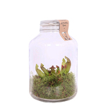 Bormioli Weckpot Inmaakpot Vierkant 1,5ltr Fido Pak A 6 St.