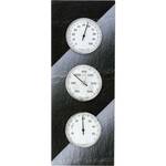 TFA Dostmann 20.3018 Analoog weerstation